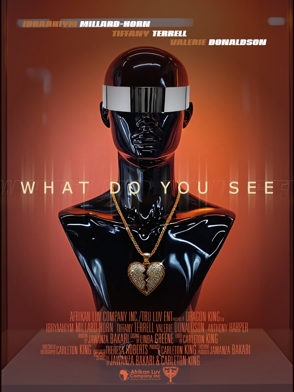 What Do You See? poster